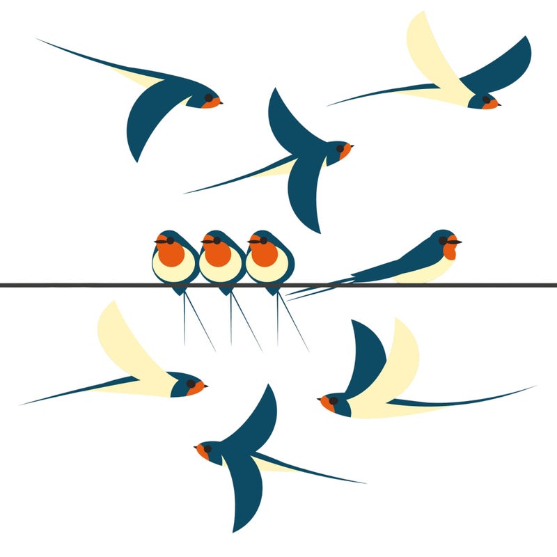 Stickers4 Swallows Bird Window Clings | Colourful Window Decals to Prevent Bird Strikes | Double-Sided - Image 1